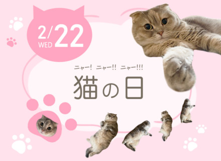 2月22日は猫の日🐱おすすめの猫アイテムをご紹介！